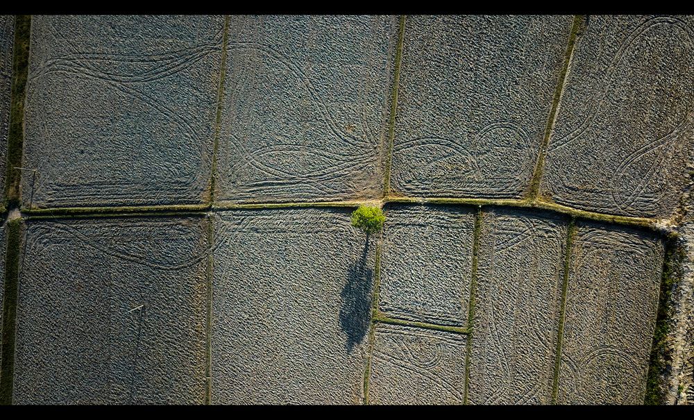 Photograph by Nguyễn Hà