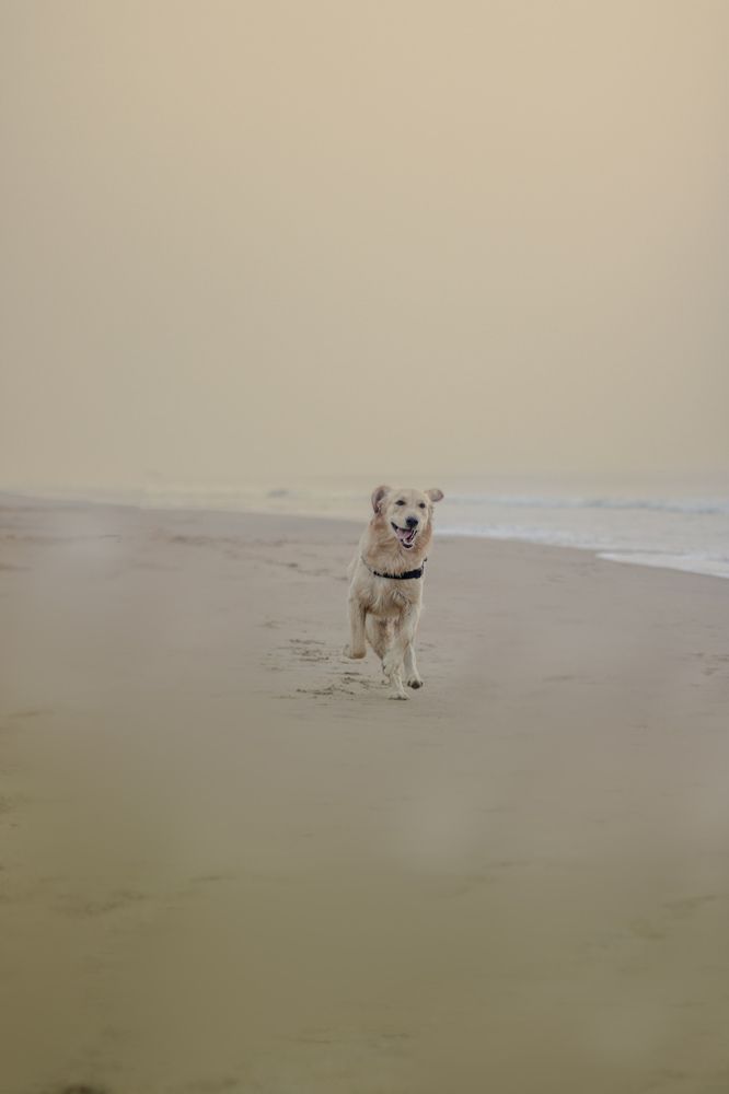 Photograph by Nikhil Buddiga