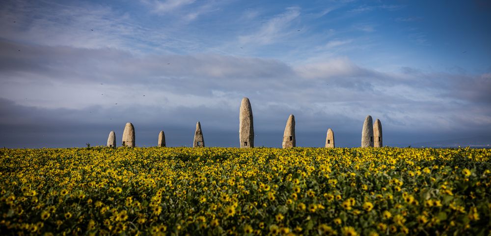 Photograph by Austin Bueno