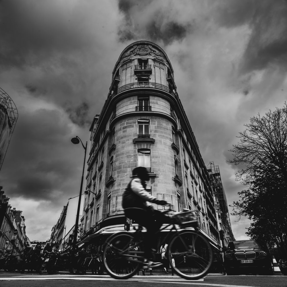 Photograph by Austin Bueno