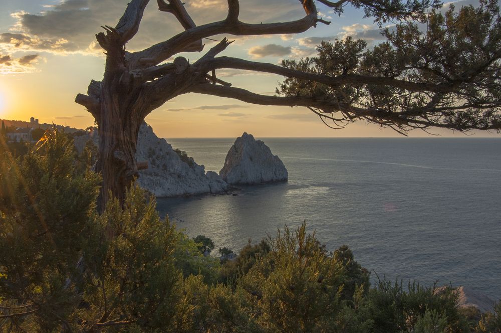 Фотография автора Олег Анатольевич Загорулько