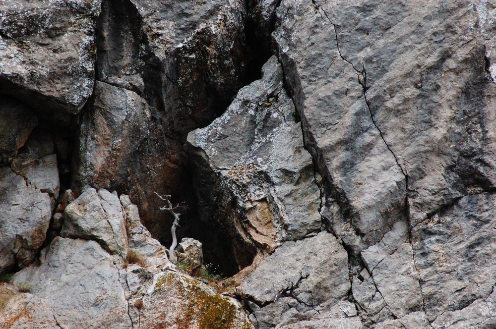 Фотография автора Олег Анатольевич Загорулько