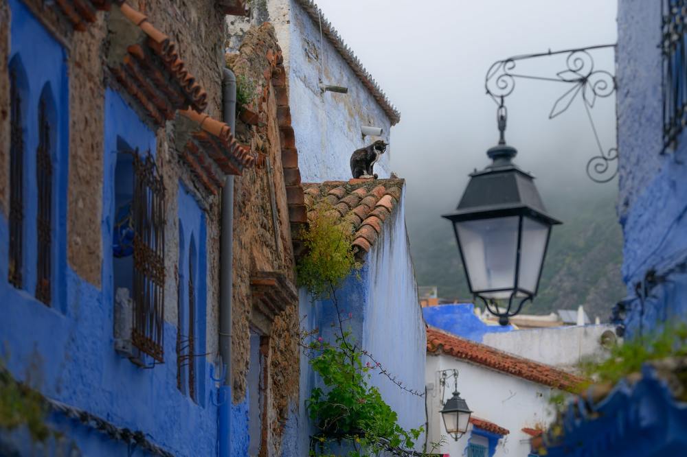 Фотография автора Kaznov Stanislav