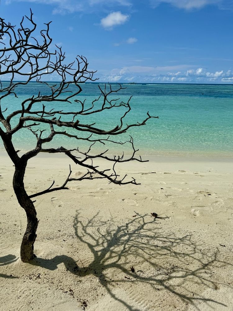 Photograph by Татьяна Маслова