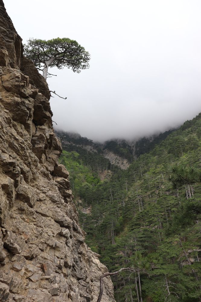 Сквозь скалу