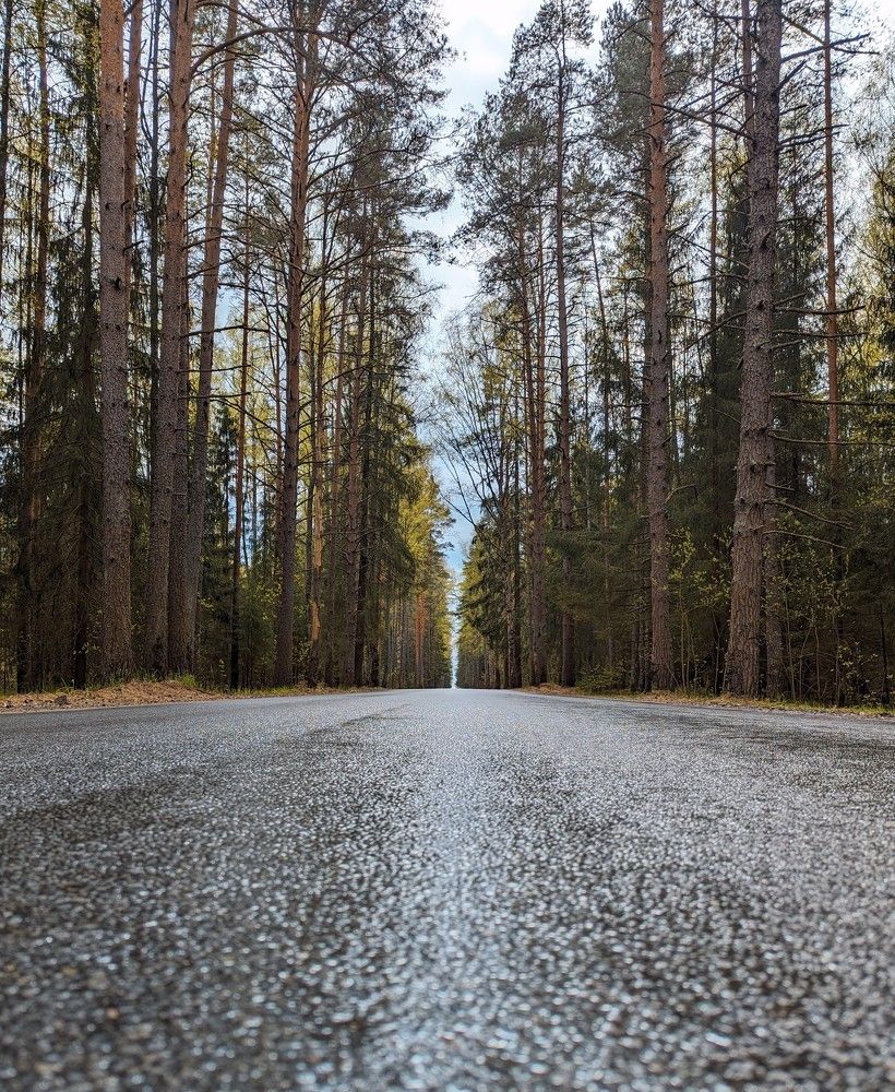 Photograph by Дарья Булавина