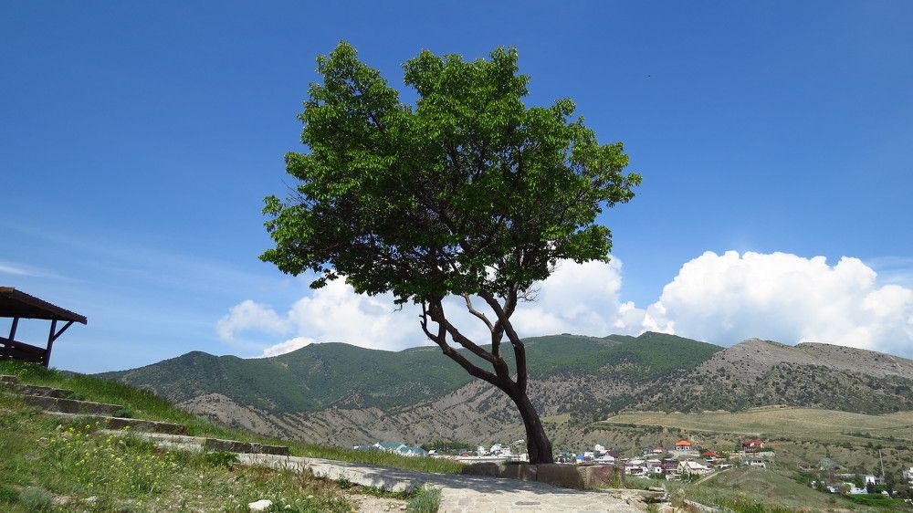 Photograph by Елена Казарина