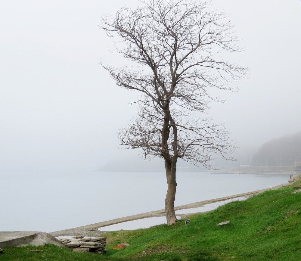 Photograph by Елена Казарина