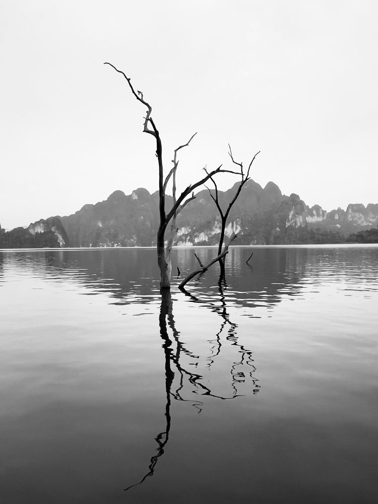 Photograph by Сергей Рыжов