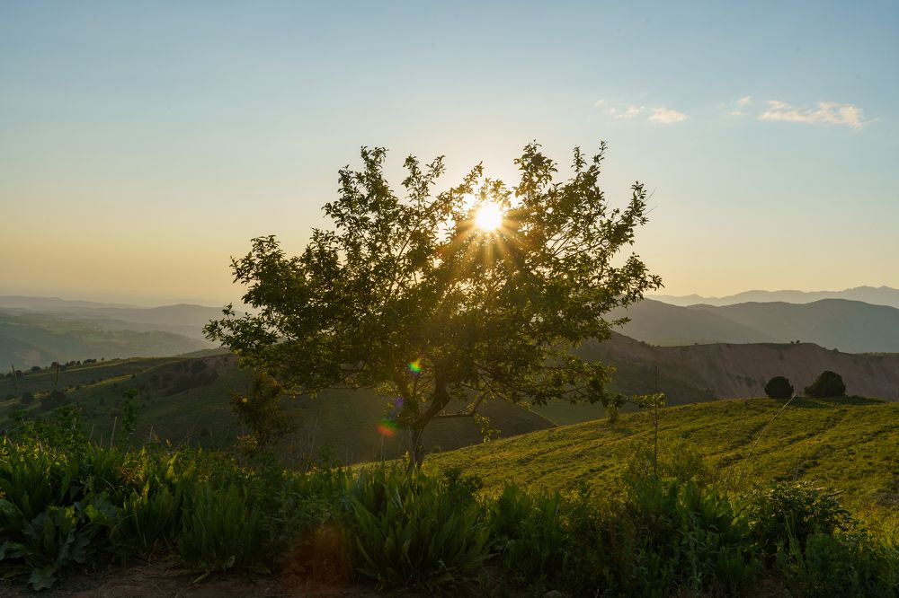 Photograph by Владмимир Мовсесянц