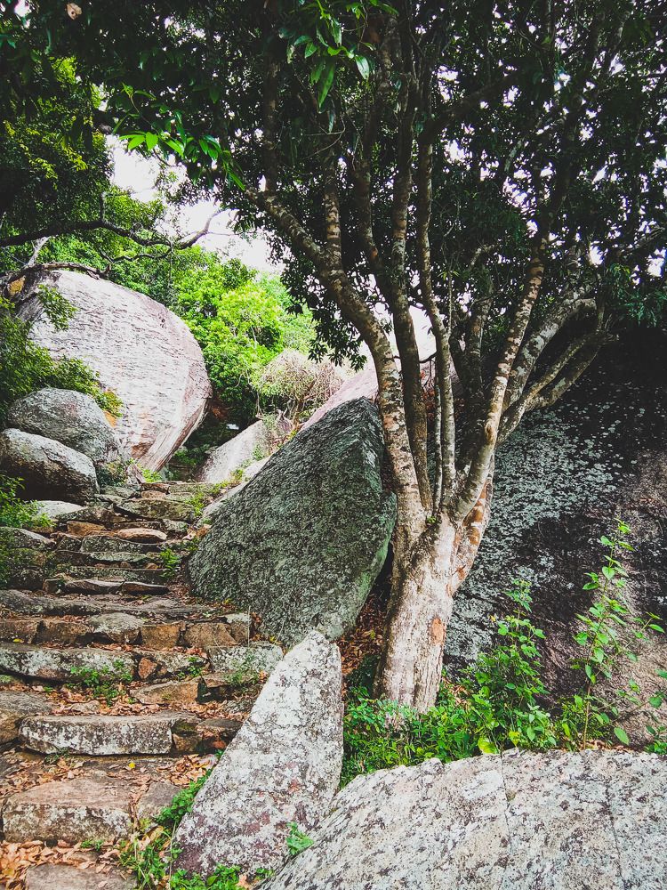 Photograph by Pawan Guruge