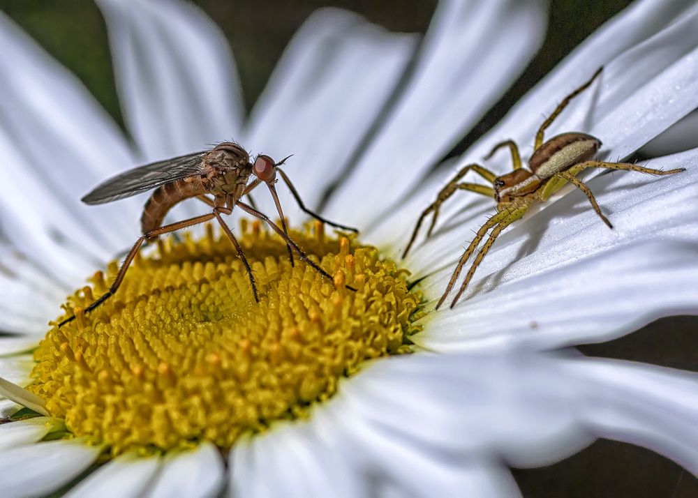 Photograph by Владимир Архипов