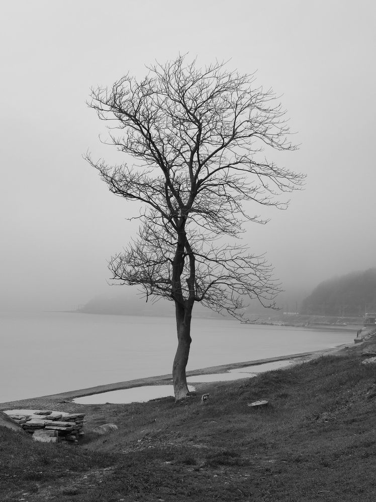 Photograph by Елена Казарина