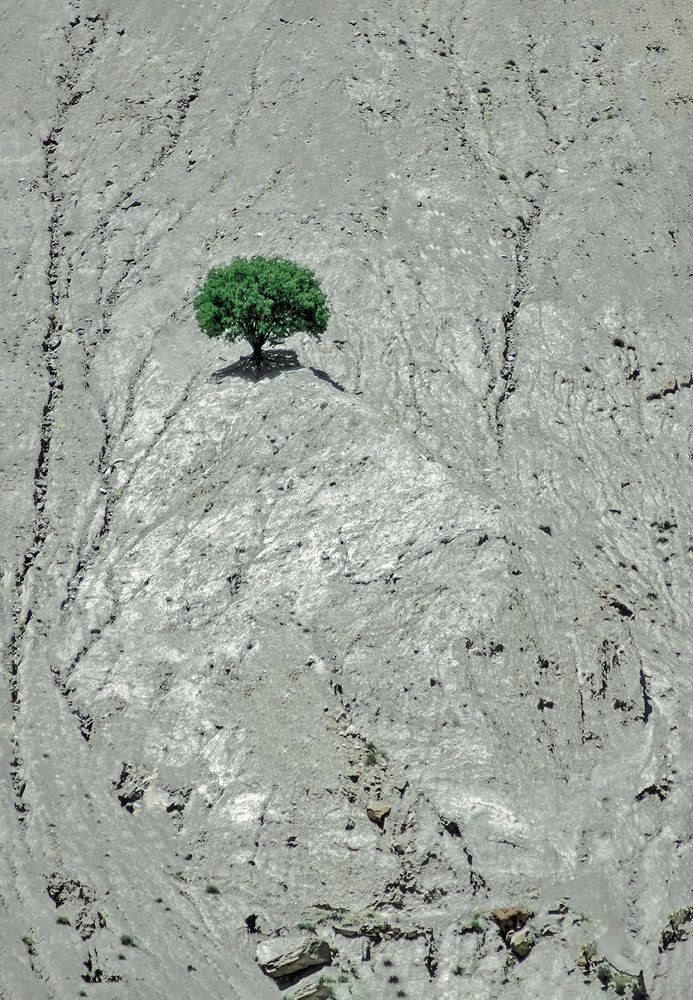 Photograph by Zaheer Abbas