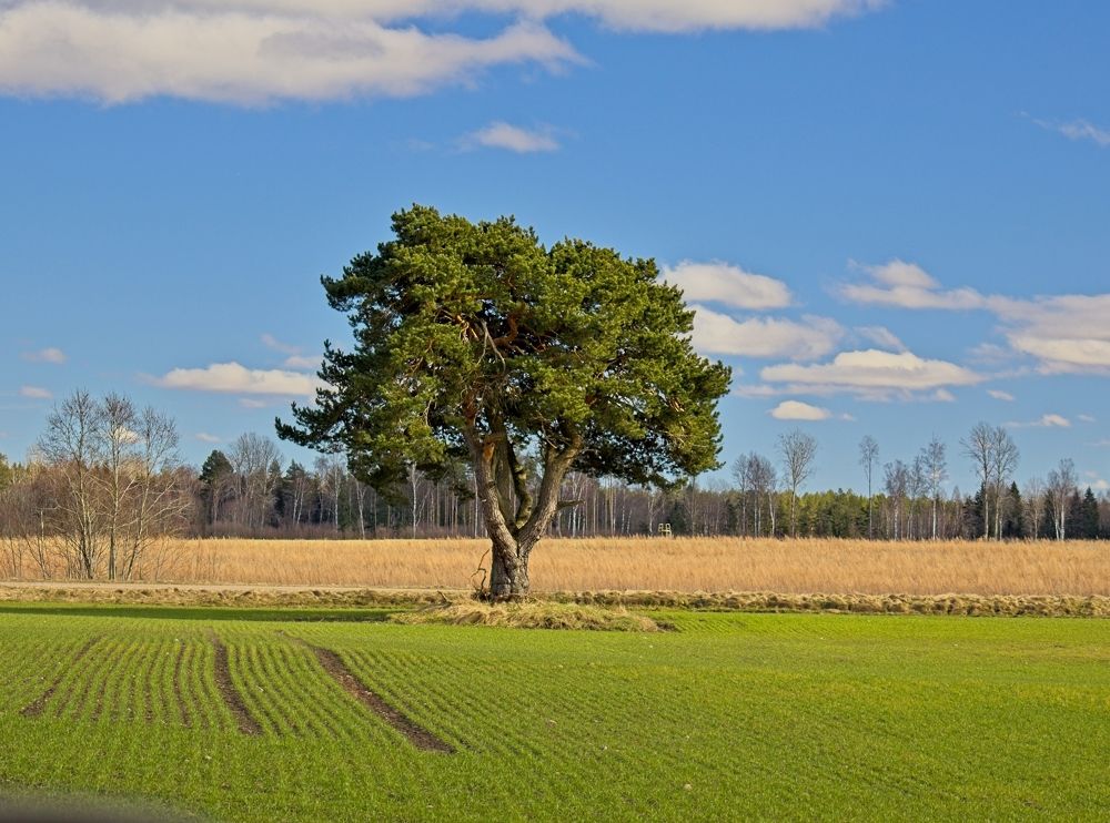 Фотография автора Vladimir Chu