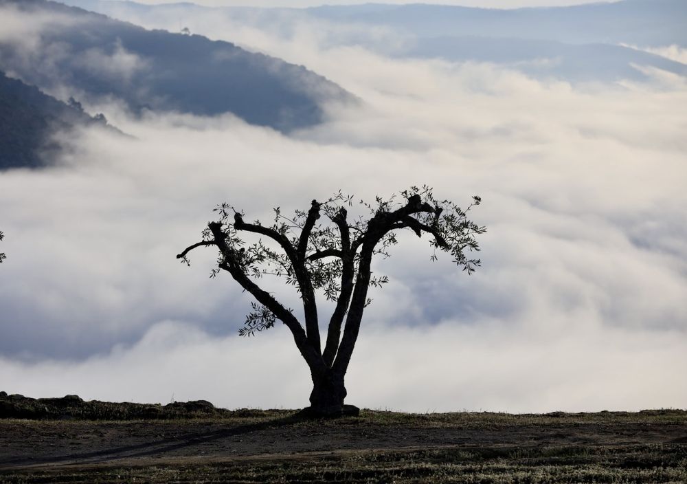 Photograph by Ольга Одаренко