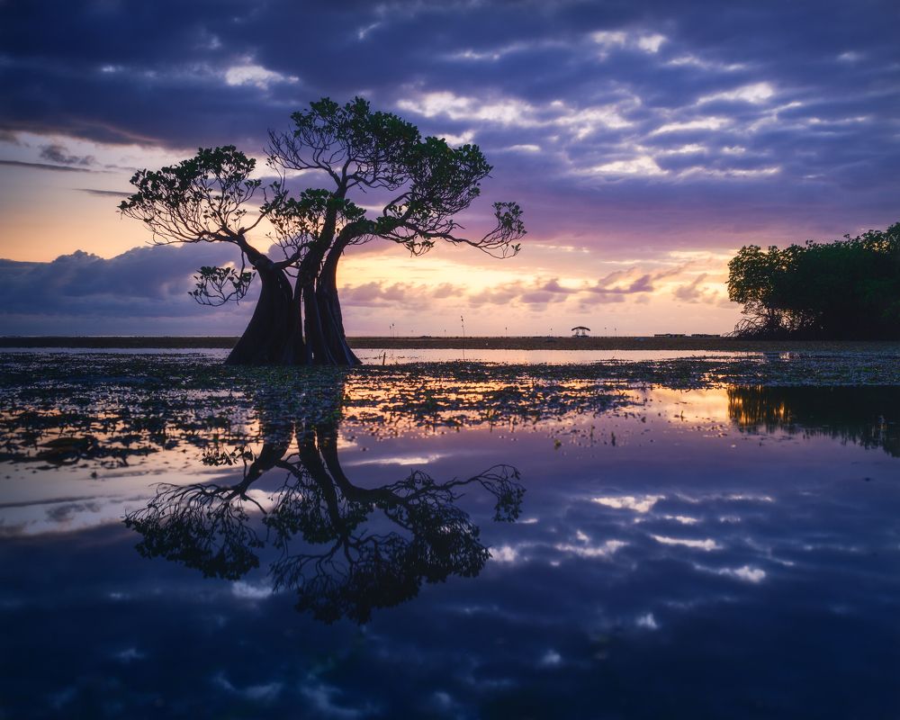 Photograph by Dmitry Ishniyazov