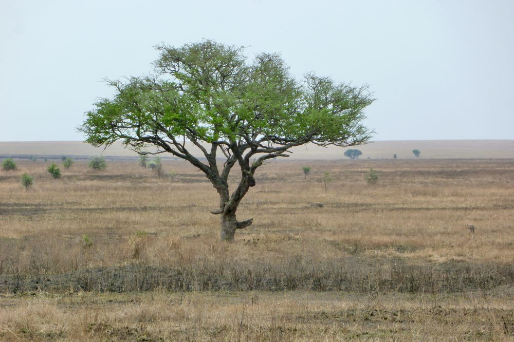 Photograph by Ahmet Aka