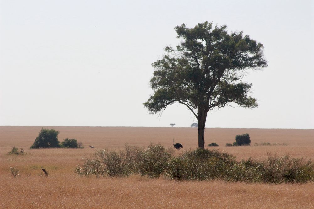 Photograph by Ahmet Aka