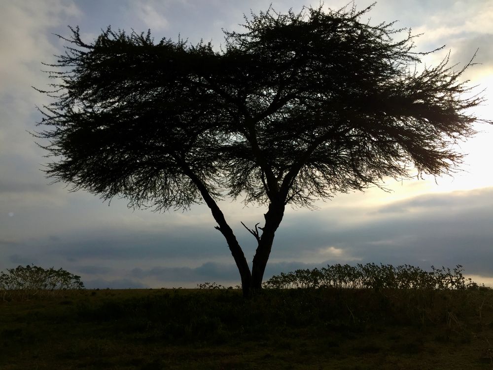 Photograph by Ahmet Aka