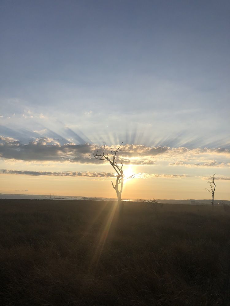 Photograph by Лариса Куторжевская