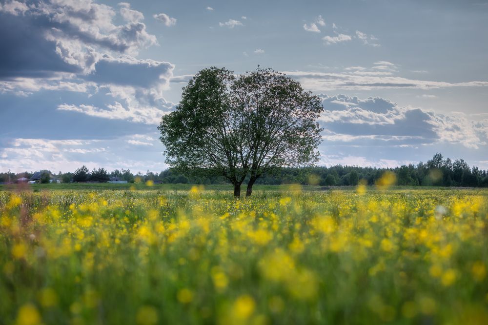 Фотография автора Alexander Pashenichev