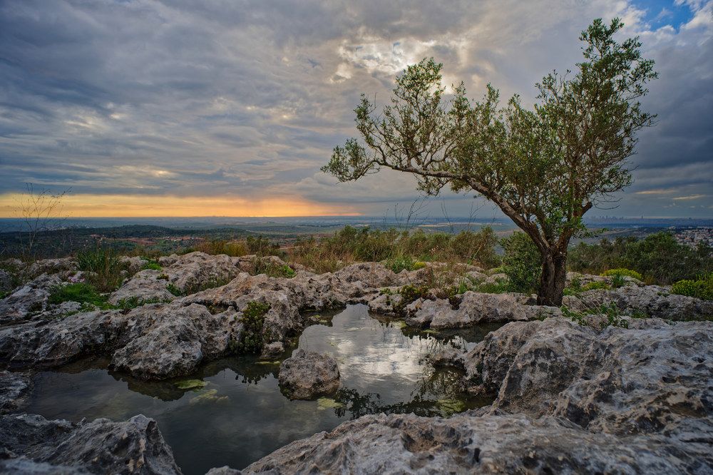 Фотография автора David Solodar