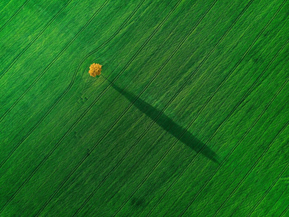 Photograph by Брытков Николай