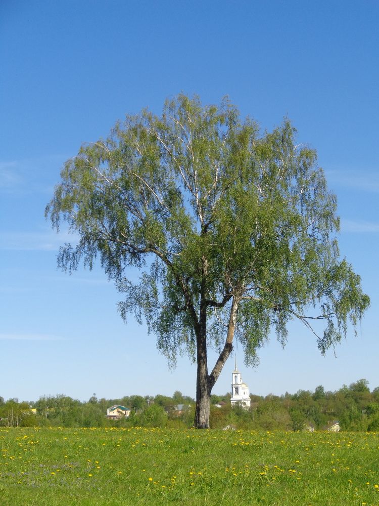 Photograph by Игорь Максимов