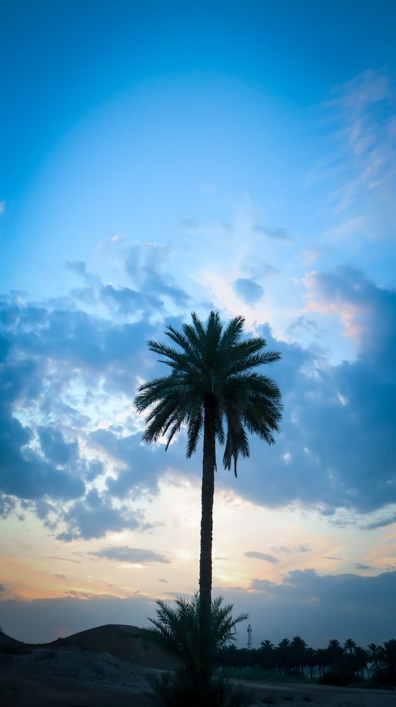 Photograph by Shaiban photography