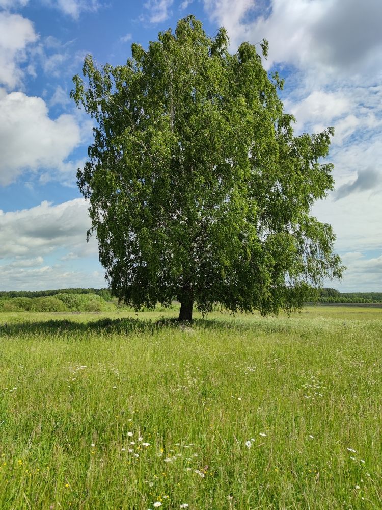 Photograph by Петр Поспелов