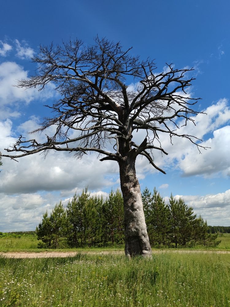 Photograph by Петр Поспелов