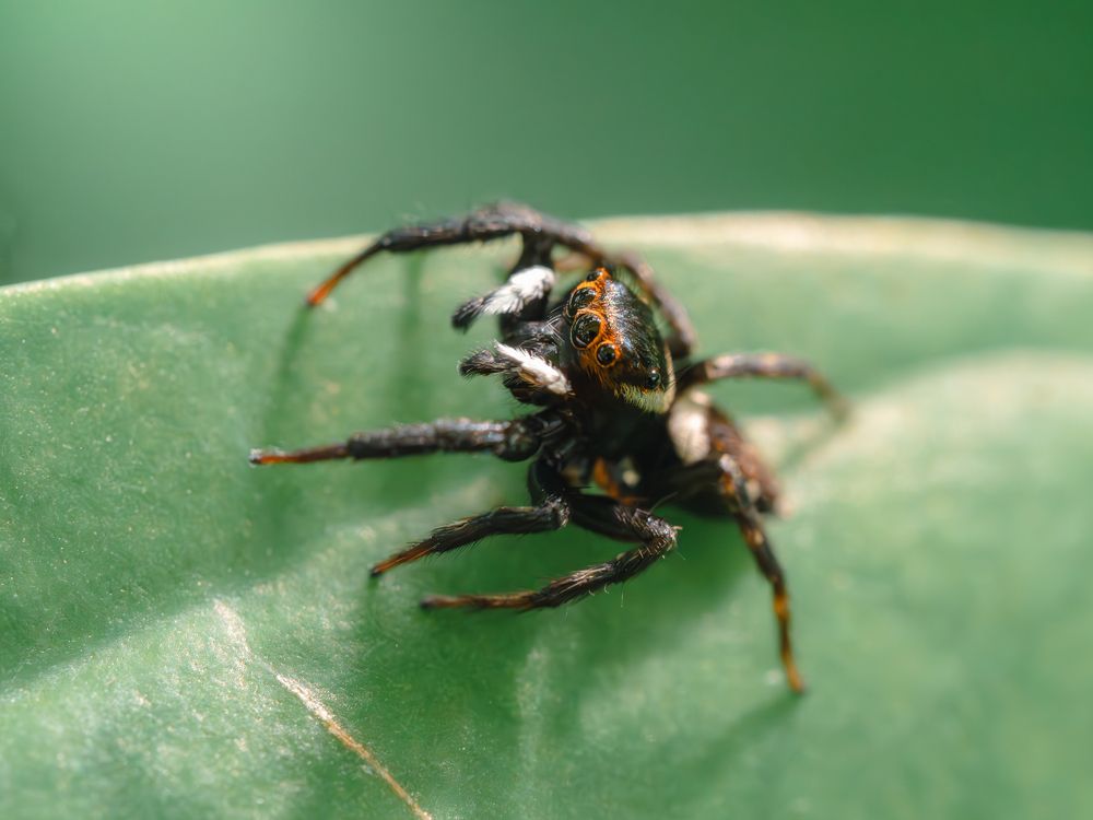 Photograph by Irina Protchenko