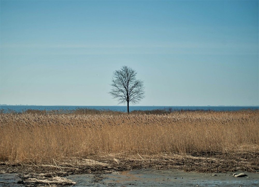 Photograph by Татьяна