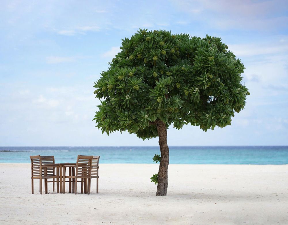 Photograph by Liliya Rodionova