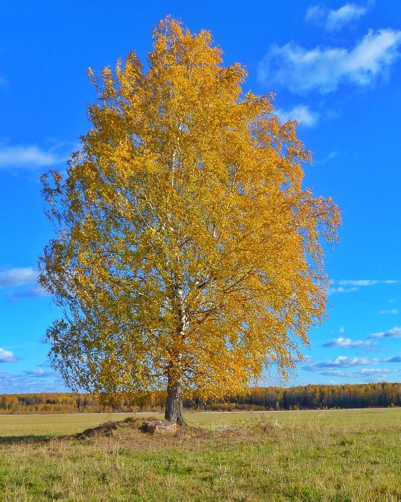 Photograph by Петр Поспелов