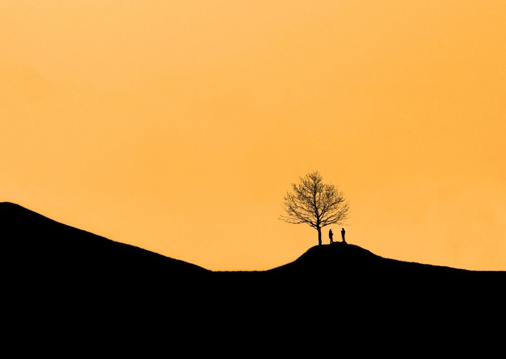 Photograph by Artin darvishi