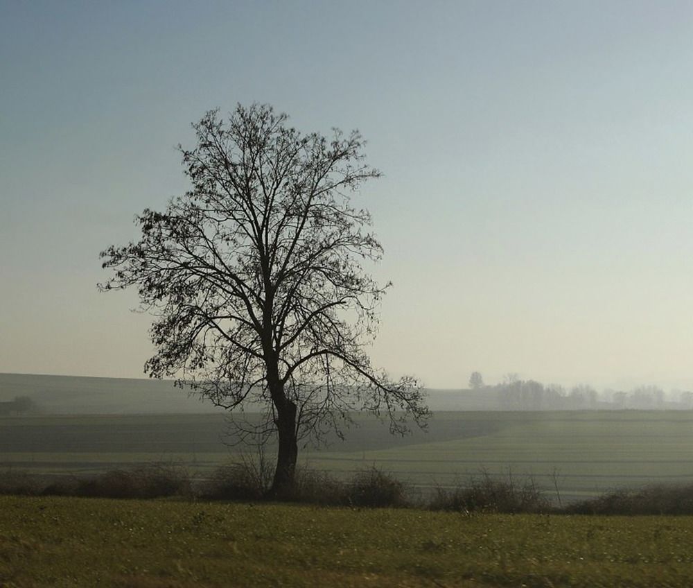 Photograph by Liliya Rodionova