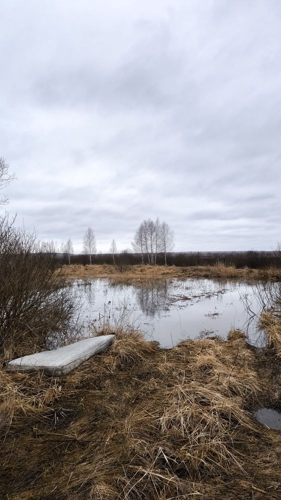 Photograph by Юлия Плаксина