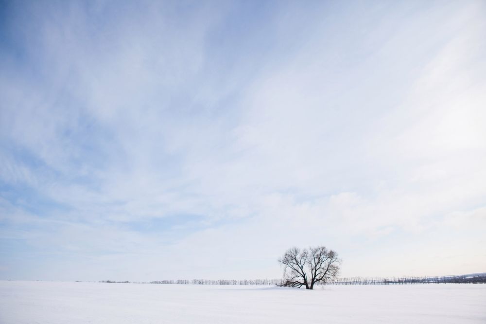 Photograph by Алексей Пирязев