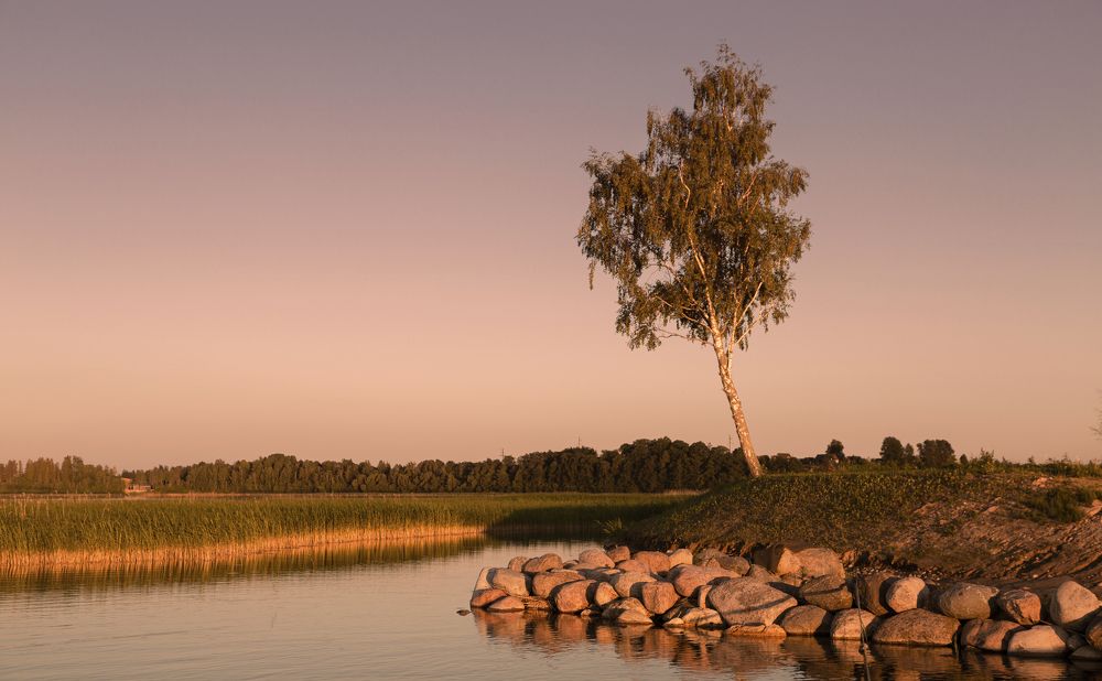 Photograph by Алена Ерошкина