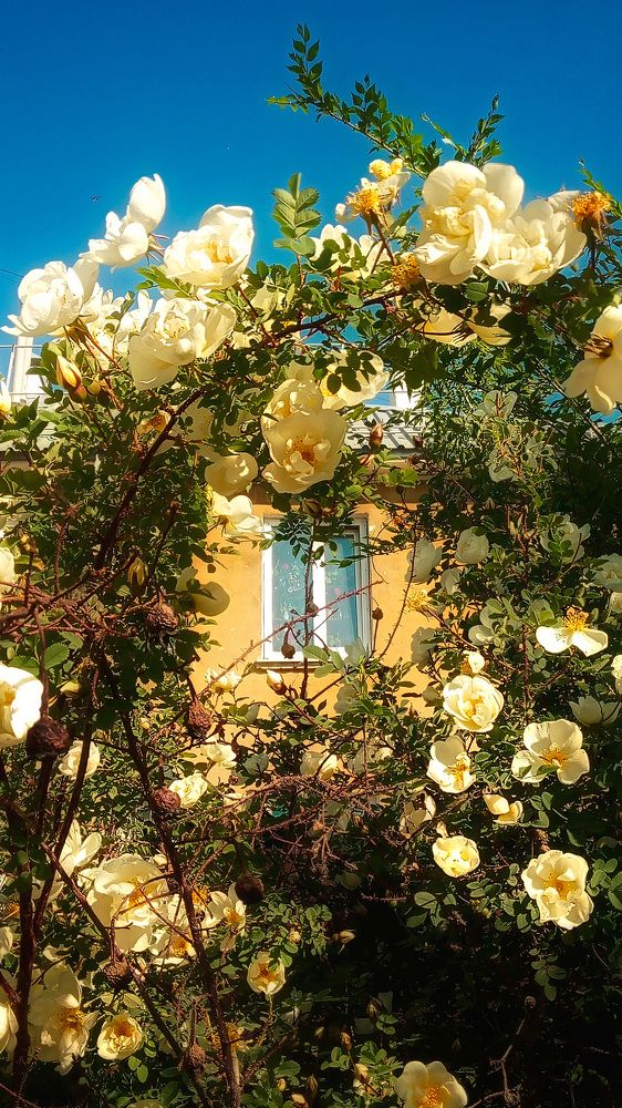 Photograph by Мария Никольская