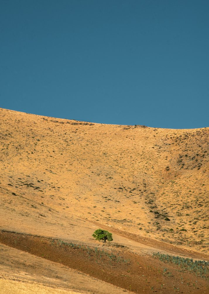 Фотография автора Mohammad Mohseni