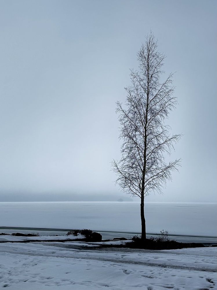 Фотография автора Anna Tikka