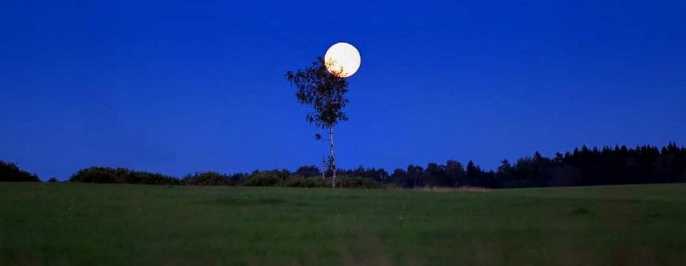 Photograph by Сергей Ключарёв