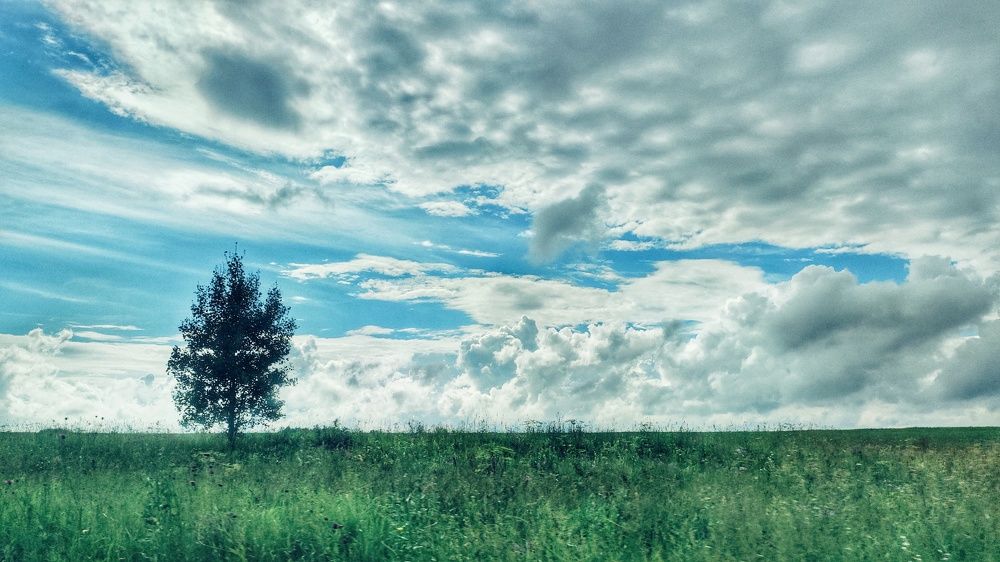 Photograph by Калюнова Наталья