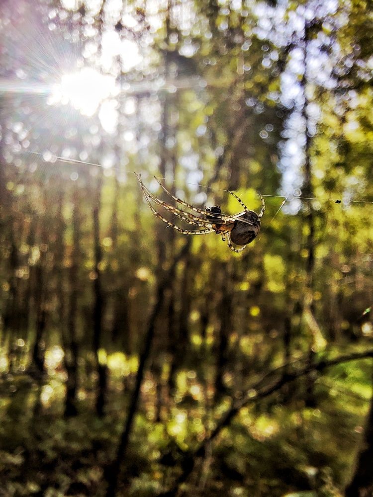 Photograph by Ксения Цветкова