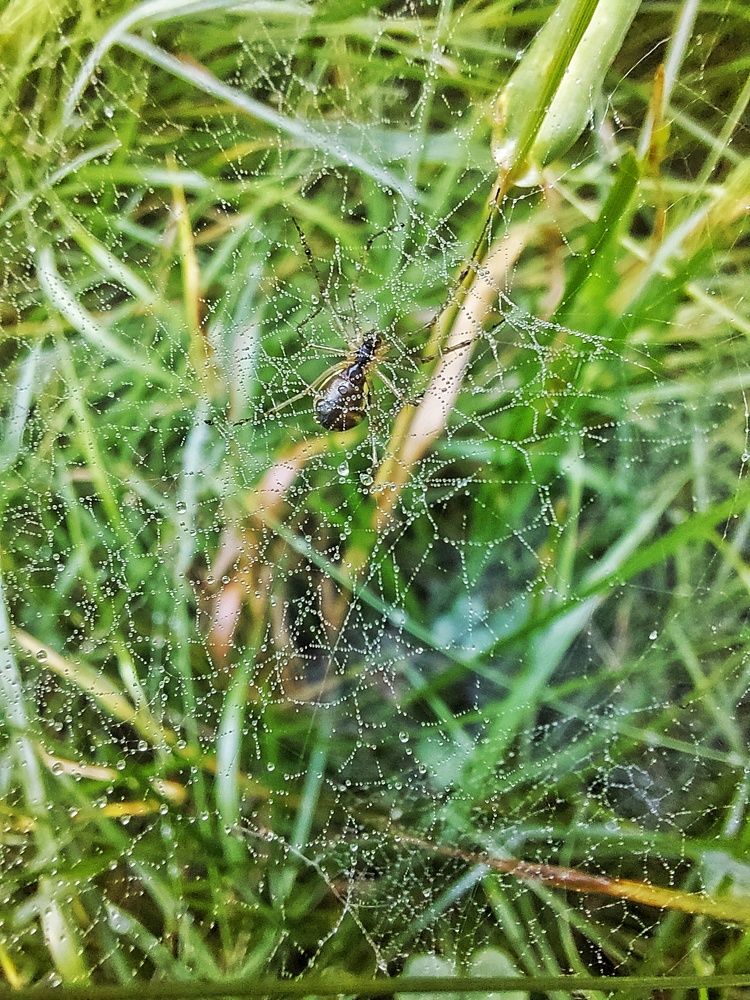 Photograph by Ксения Цветкова