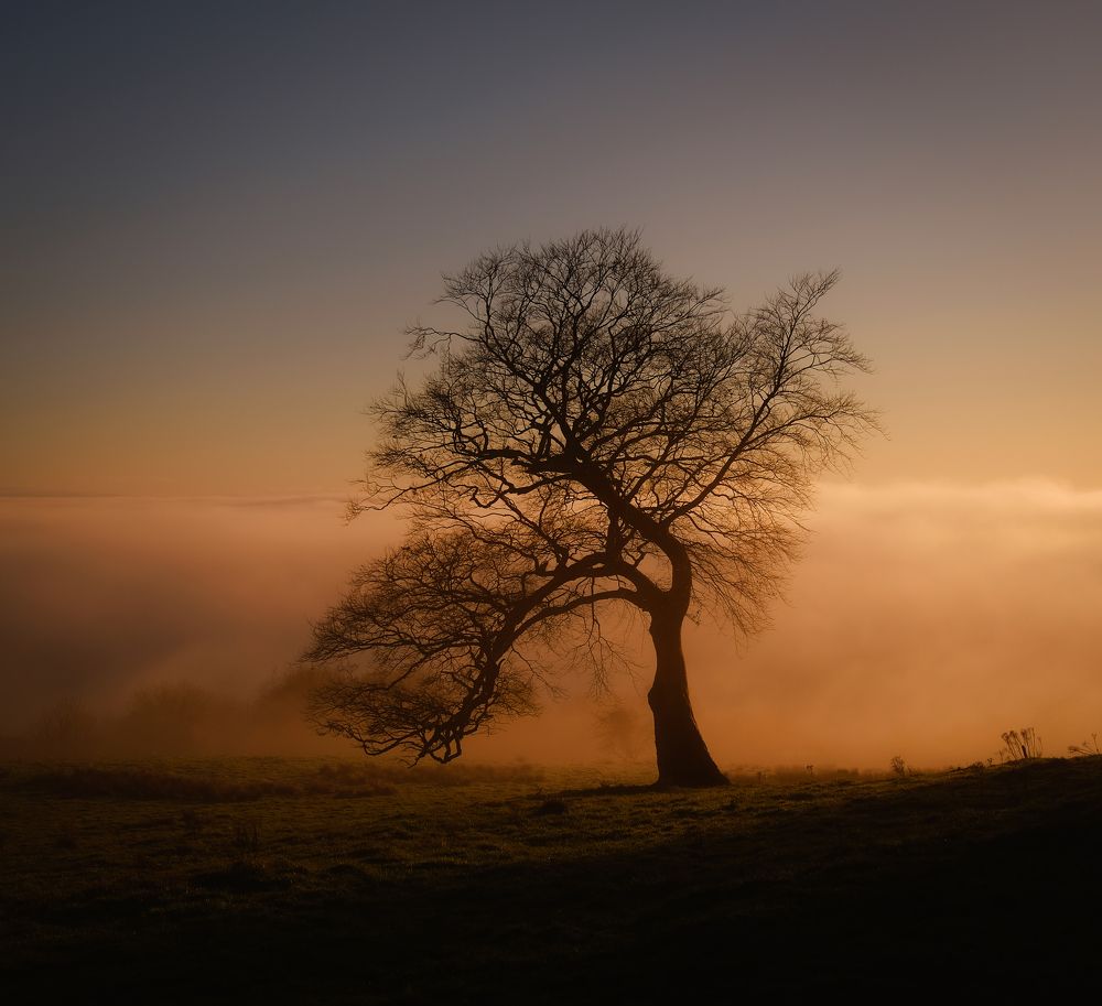 Фотография автора Kanstantsin Markevich