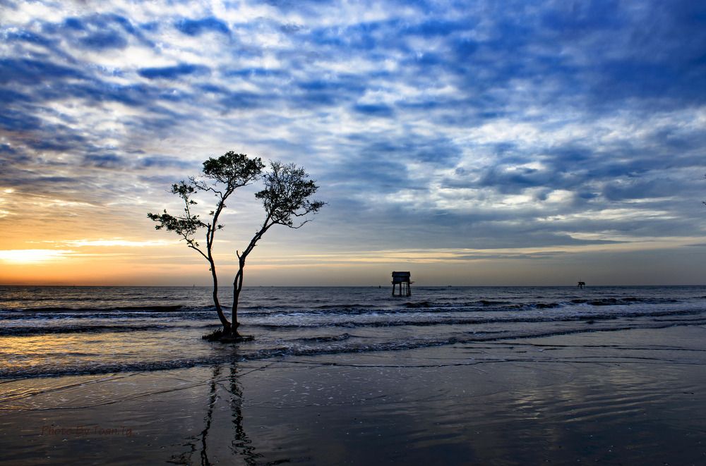 Photograph by Nguyen